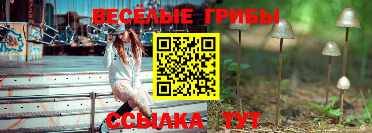 Псилоцибиновые грибы ЛСД  Галлюциногенные грибы прущие грибы  Вход с VPN  Саранск 